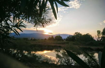 Haus Andreas - Foto 17