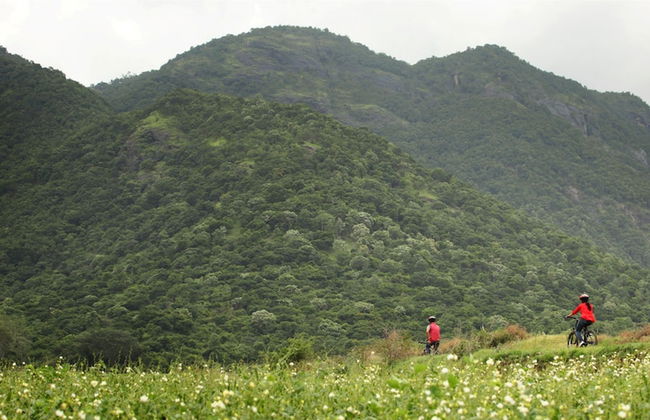 Harvest Fresh Farms - Foto 24