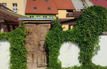 Noclegi Szymrych - Foto 16