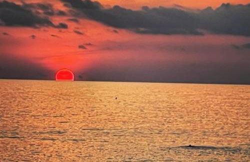 CASA CELESTE - Foto 47