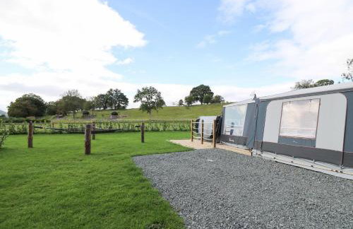 The Kingfisher - Foto 26