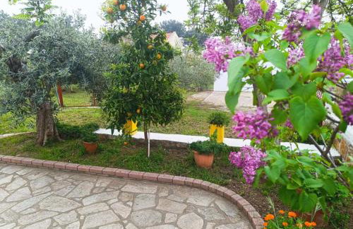 Grandmas Cottage - Photo 58