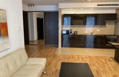 Platinum Towers Hotel Apartments with parking - Foto 8