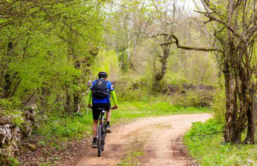 Holiday House Serenity - Foto 62