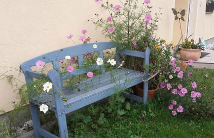 Ferienhaus Loose 8 - Photo 4