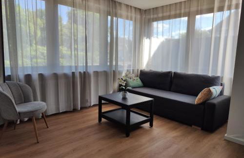 Parkblick Apartment Weißenthurm Nähe Koblenz - Foto 1