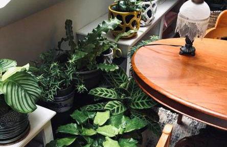 Urban Oasis in Hope Village - Foto 24