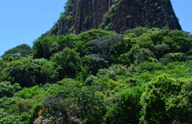 Quiahuiztlán, Cempoala & La Antigua Tour - Foto 1