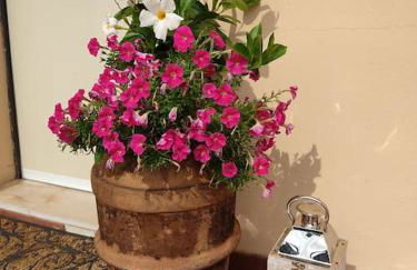 Dalla Isi il giardino sul golfo - Foto 25