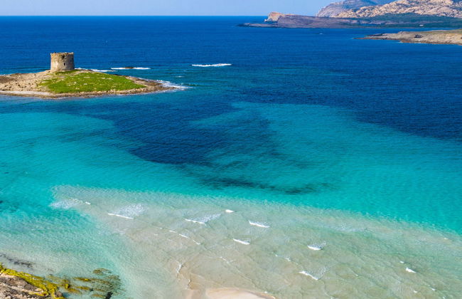 Excursión a Asinara en lancha - Foto 1