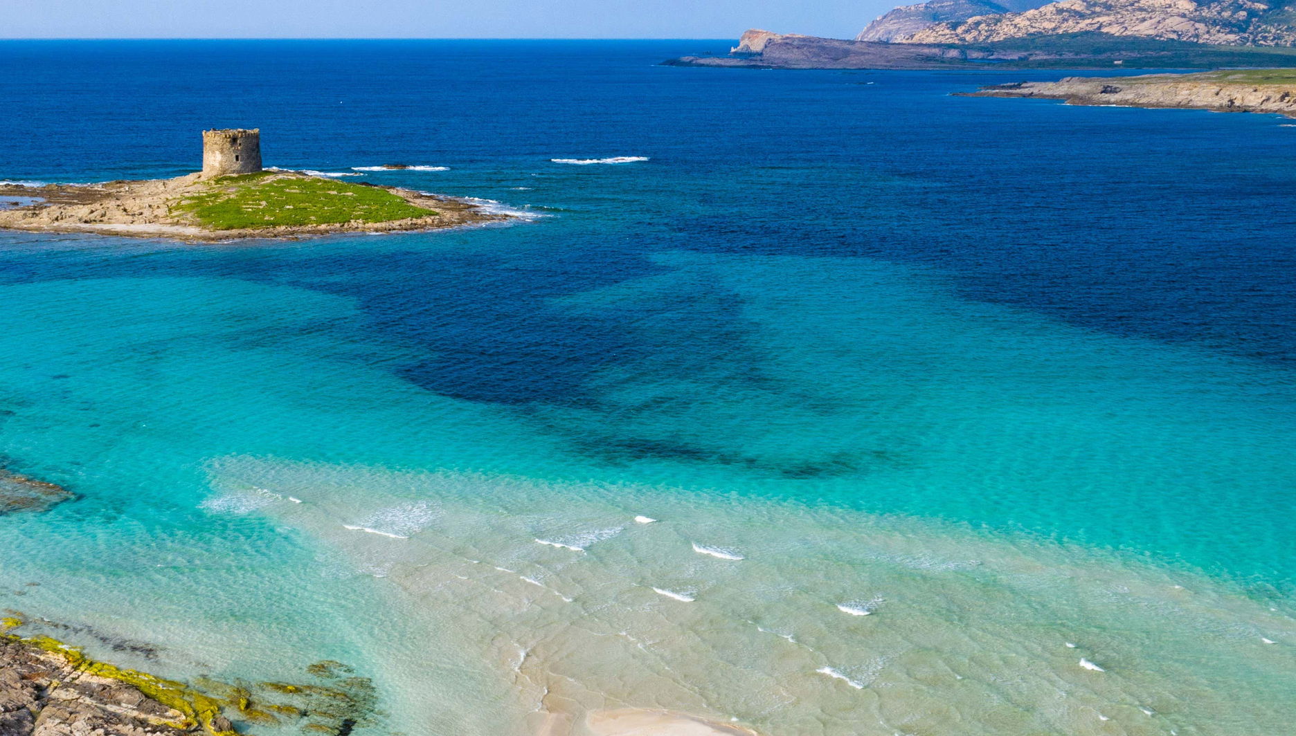 Asinara National Park Speedboat Trip - Foto 1