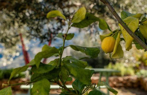 Villa lito - Photo 66