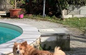 La casa nel verde con piscina - Photo 47