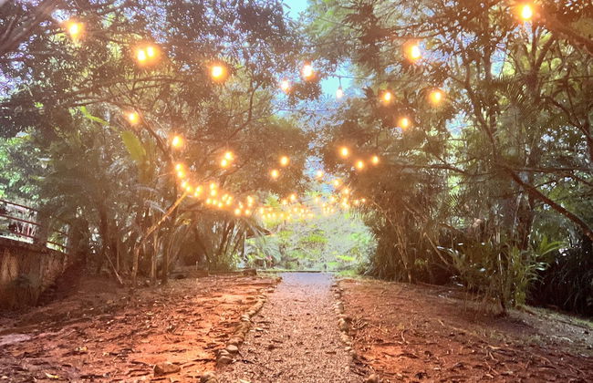 Blue Banyan Inn - Photo 17