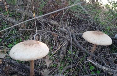 Casa da Marquinhas - Foto 74