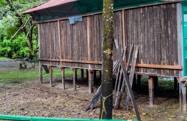 Excursión de 3 días por las Pampas del Yacuma - Foto 1