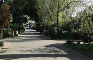 Rosi Sweet Home - Foto 21