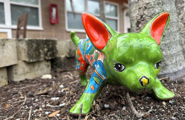 Coco Sands Studios - Foto 79