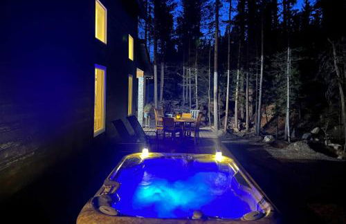 1 Mi to St Marys Glacier Trail Modern Mtn Cabin! - Foto 21