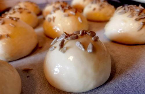 Osada Między Drzewami - Foto 15