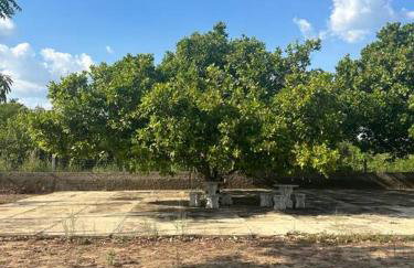 Sítio zona rural de Teresina - Foto 12