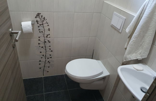 Apartments Akacijev Izvir - Foto 49