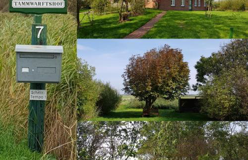 Tammwarftshof - Foto 11