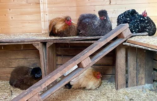 Knut's Nest - Foto 25