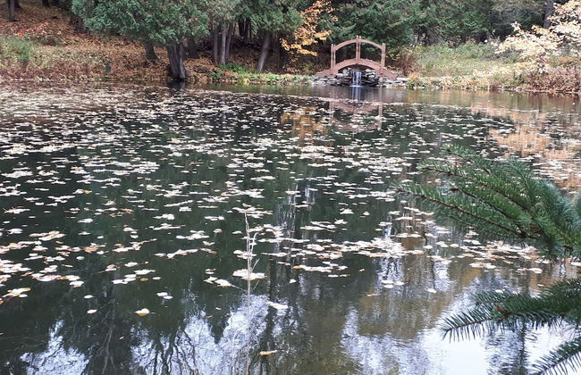 Le Domaine de l'Étang - Photo 14