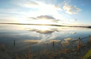 La Salicorne, maison d'hôtes. - Photo 32