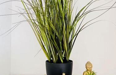 Fewo Stever-Aue - Foto 24