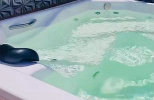 Chalé Na coruja e Chalé Encanto com BANHEIRA com AQUECEDOR e hidromassagem 7,5km centro Águas com COM CAFÉ, internet Starlink - Foto 43