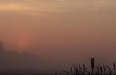 Krötenhof Barförde - Foto 56