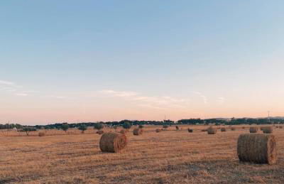 Casa Sítio do Vale, Alandroal - Foto 52