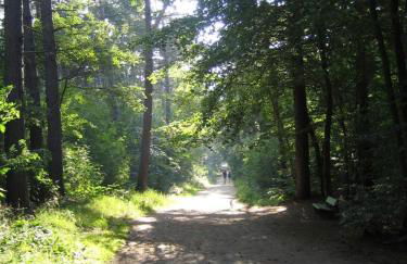 Cuxhaven Sahlenburg - Foto 14