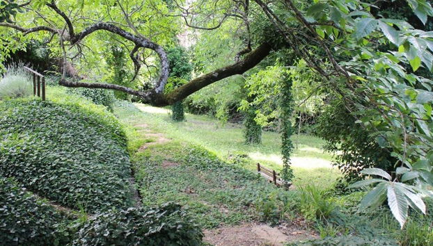 Molinos De Fuenteheridos - Foto 4