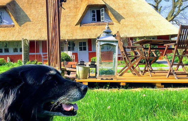 Wegekaten - Ferienwohnungen unter Reet - Foto 26