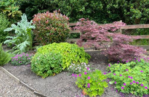 The Old Sweet Shop - Foto 37