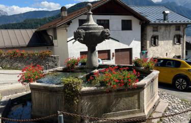 Il Cadorino - Foto 39