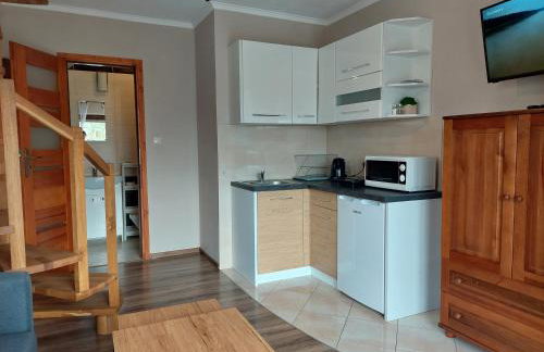 Willa Przekop - apartamenty - Foto 48