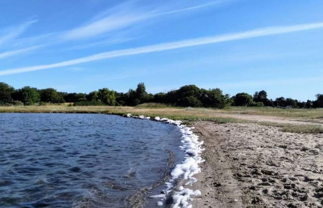 6 Person Holiday Home in Ronde - Foto 28