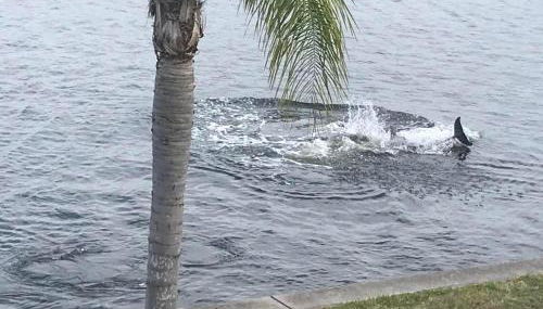 The Artful Nook - Foto 2