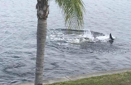 The Artful Nook - Foto 2