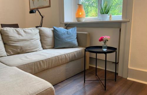 Das Ministerhaus - 1-2 Zimmer in historischer Villa - Foto 4