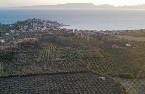 Olive tree cottage - Foto 14