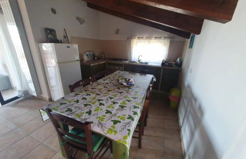 Gabbiano Jonathan - Foto 16