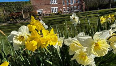 Singleton Lodge Country House Hotel - Foto 4, Garden view