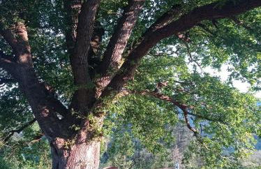 Casa el rey 12 - Apartamentos Buenos Aires y Figueras AR-1419-AS - Foto 43