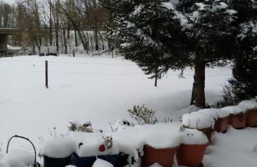 Ferienwohnung Eva - Photo 23