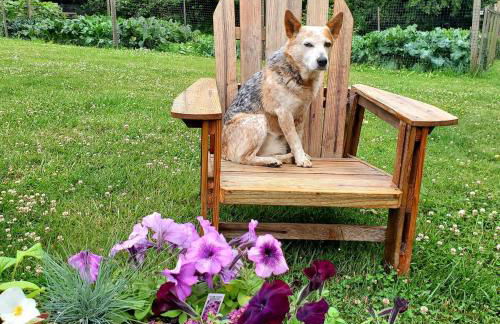 Farmhouse Cabin in the Redwoods - Foto 18